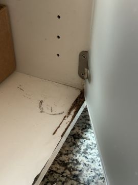 Woodwork and Carpentry