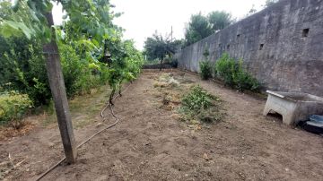 Serviço de Jardinagem