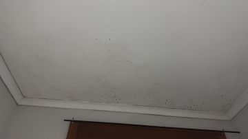 Pintura de Casas - Pintura