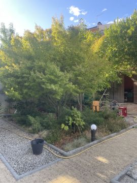 Jardinagem