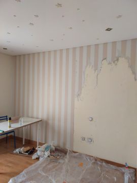 Professionnel du retrait de papier peint