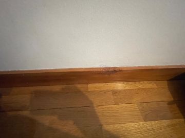 Additions and Remodels