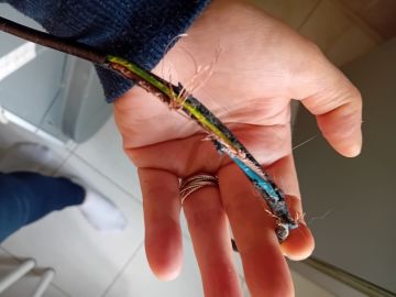 Eletricista