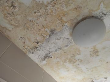 Plaster Specialist - Home Improvements