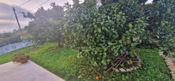 Serviço de Jardinagem