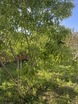 Gartenarbeit