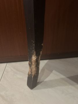 Especialista de Reparação de Móveis