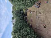 Tree Trimmer