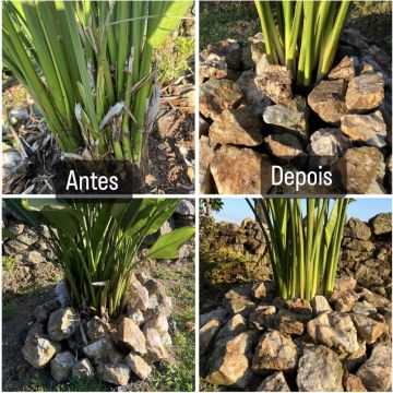 Natura jardins - Esposende - Multi Service Lawn Care