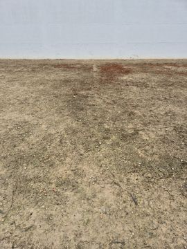 Artificial Turf Specialist
