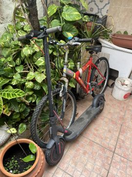 Spezialist für Scooter