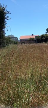 Limpeza de Terrenos - Jardinagem e Relvados