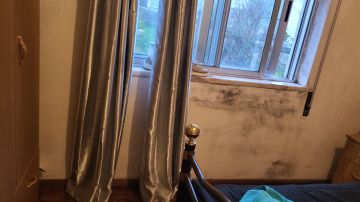 Interior Painter