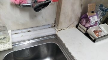 Carpenter - Home Improvements