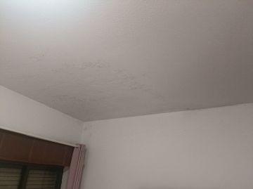 Pintura - Casa