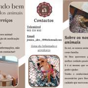 Jéssica - Loures - Pet Boarding and Daycare