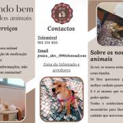 Jéssica - Loures - Hotel e Creche para Animais