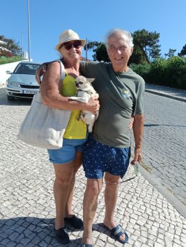 Hotel para Cães