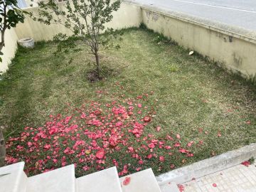 Serviço de Jardinagem