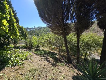 Jardinagem e Relvados