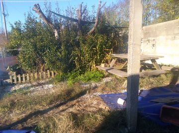 Serviço de Jardinagem