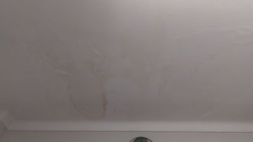 Pintor de Casas