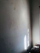 Painters - Home Improvements