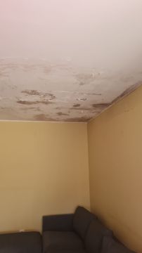 Painting - Home Improvements