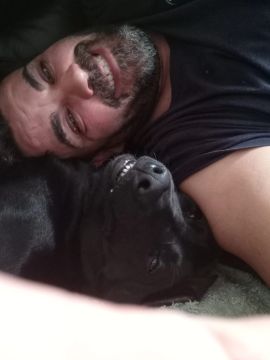 Hotel para Cães