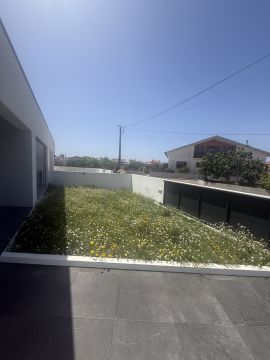 Paisagismo