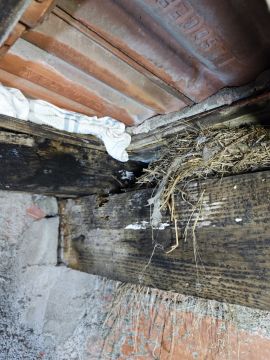 Spezialisten für Gebäudeabdichtung