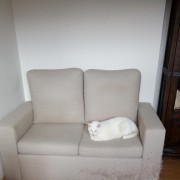 Upholstery Service
