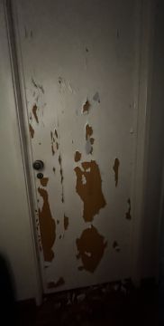 Pintor de Portas