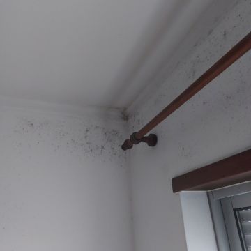 Especialista de Obras - Casa
