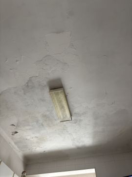 Pintor de Interiores