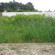joaquim gouveia - Castelo de Paiva - Artificial Turf Installation