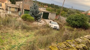 Poda e Manutenção de Árvores - Jardinagem e Relvados