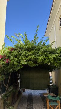Serviço de Jardinagem