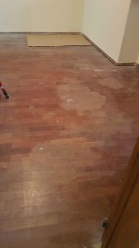 Flooring Specialist