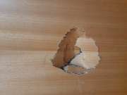 Carpenter