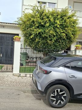 Serviço de Jardinagem