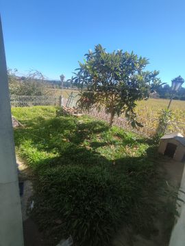 Serviço de Jardinagem