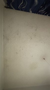 Pintura de Interiores