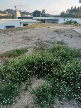 Instalación de piscinas - Piscinas, jacuzzis y spas