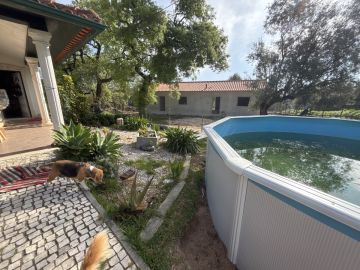 Jardinagem