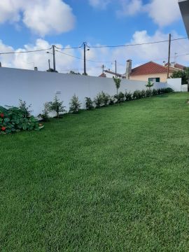 Artificial Turf Specialist