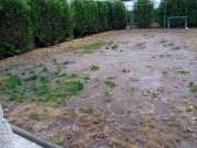 Artificial Turf Specialist