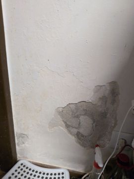 Especialista em Aplicar Reboco
