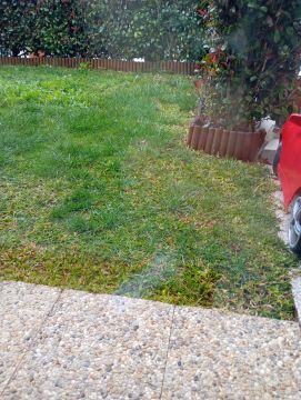 Landscaping