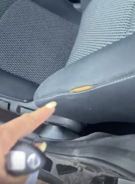 Estofador de Automóveis